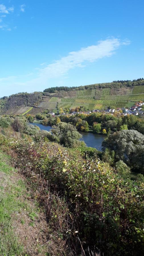 Ferienwohnung Emma Konz Bagian luar foto