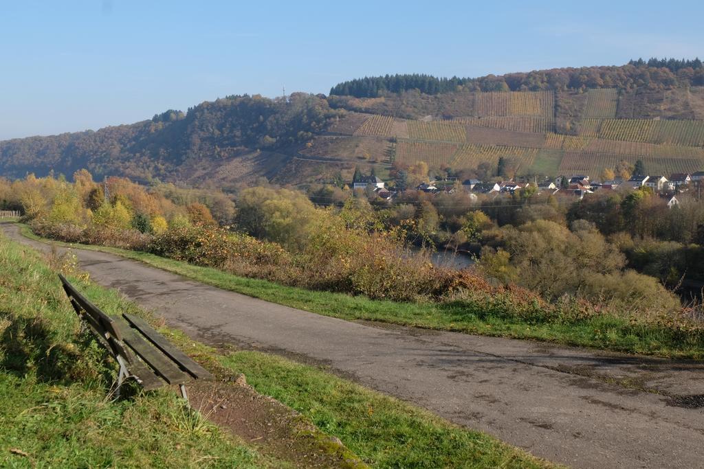 Ferienwohnung Emma Konz Bagian luar foto